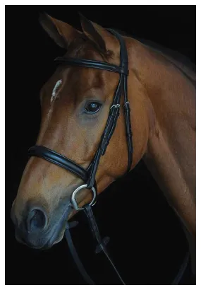 Collegiate Comfort Crown Padded Raised Cavesson Bridle