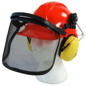 Neilsen CT5290 Safety Helmet With Visor And Ear Protection