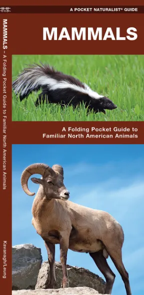 Pocket Naturalist Guide-Mammals